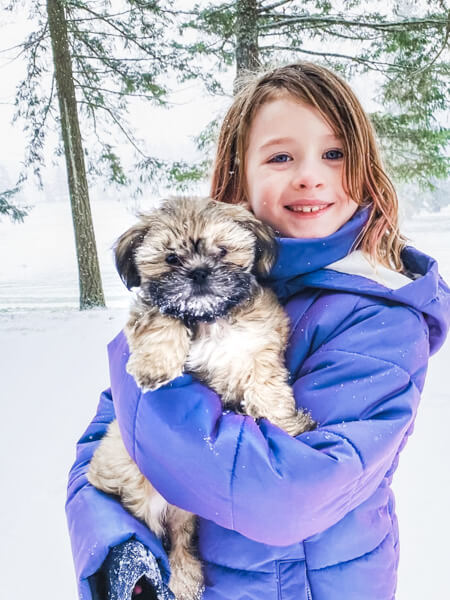 habibi bear puppy and child