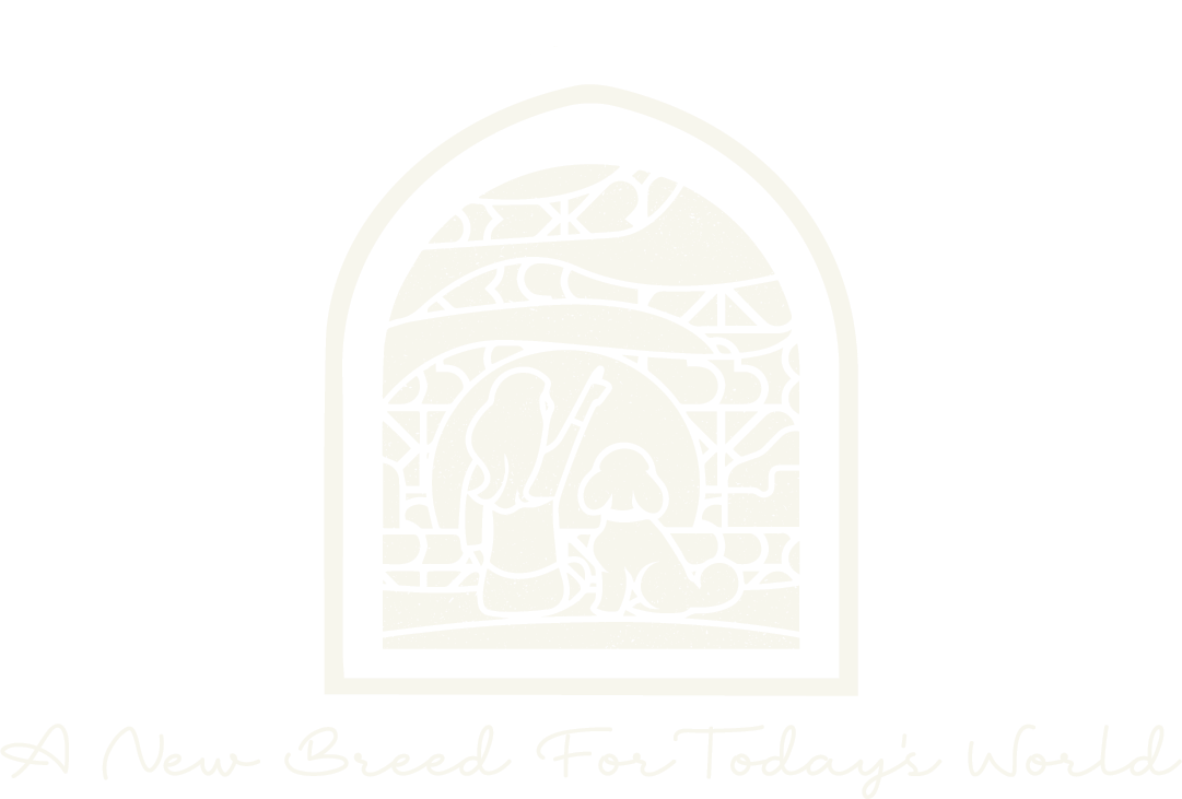 habibi bears - a new breed for today's world
